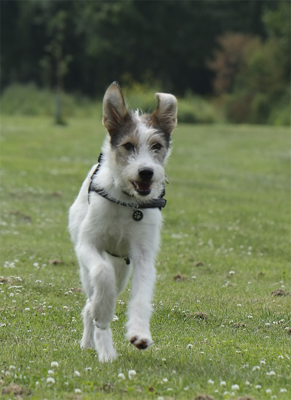 1 -- Felix Holland 6 - 2013 _SAM_0430-2 als Smart-Objekt-1.jpg